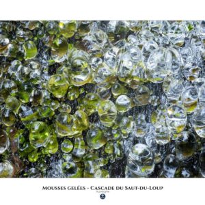 Mousses gelées – Cascade du Saut-du-Loup