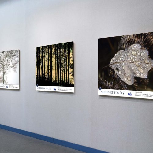 mockup_expo